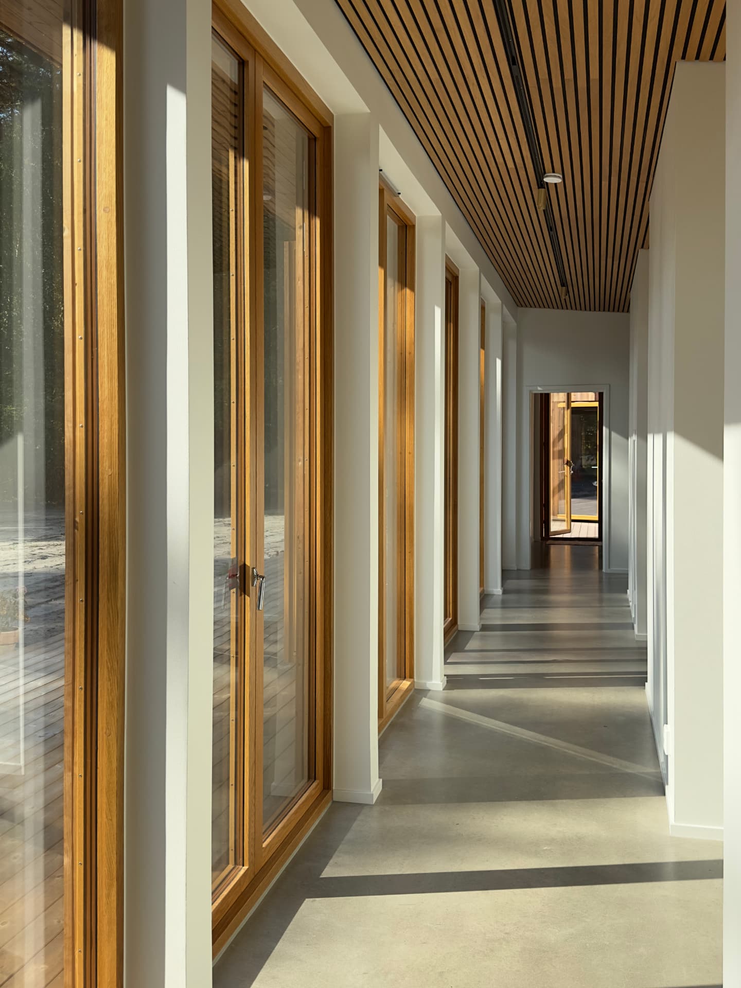 Ljust interiört galleri med ek, glas och betonggolv